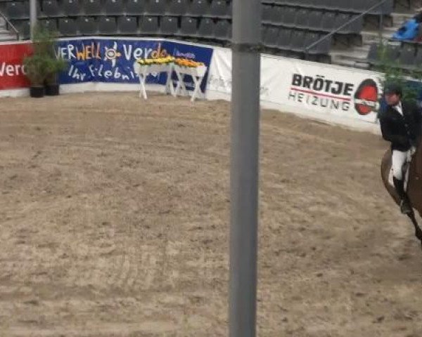 Springpferd Ludwig's Joker B (Oldenburger, 2005, von Ludwig von Bayern 168 FIN)