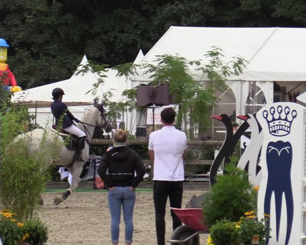 Reitturnier Solingen 2022