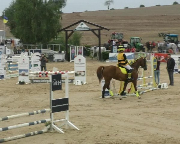 Reitturnier Duderstadt 2022