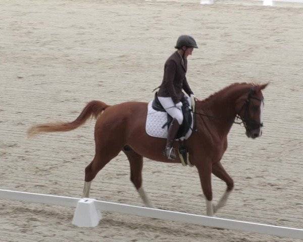 Reitturnier Bübinger Hof 2022