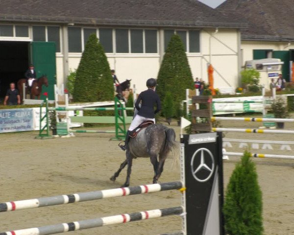 Reitturnier St.Wendel, Gestüt Welvert 2022