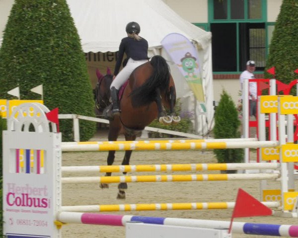 Reitturnier St.Wendel, Gestüt Welvert 2022
