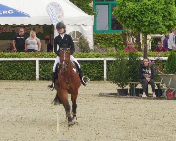 Reitturnier St.Wendel, Gestüt Welvert 2022