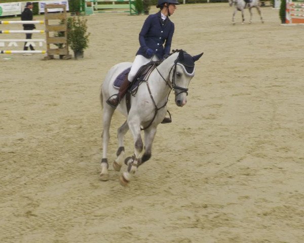 Reitturnier St.Wendel, Gestüt Welvert 2022