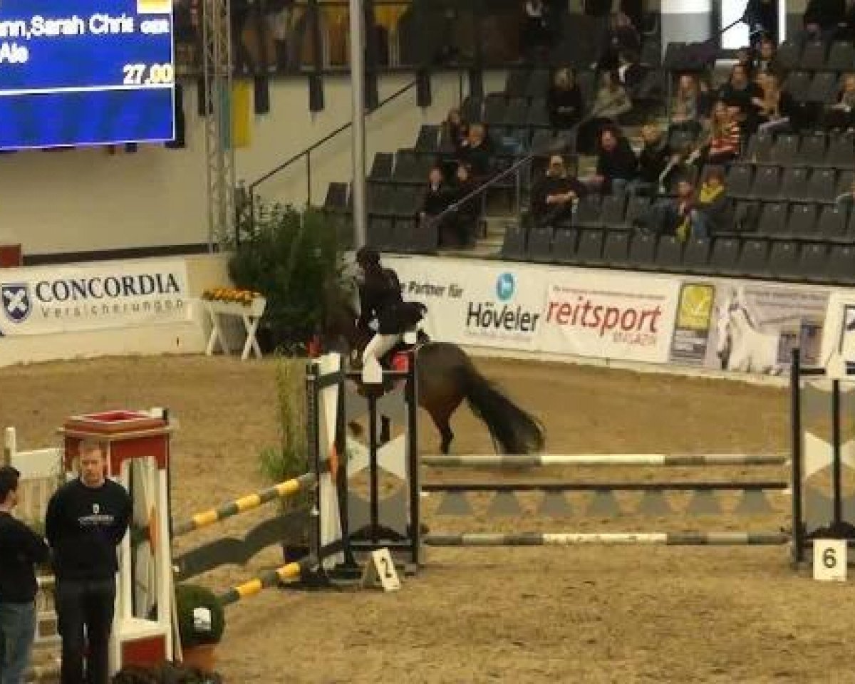 Caballo Ginger Ale 55 (Hannoveriano, 2001, de Ginsberg)