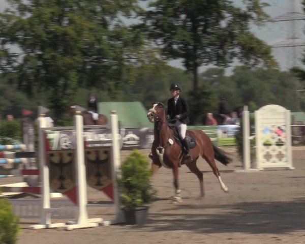 Reitturnier Dortmund-Asseln 2022