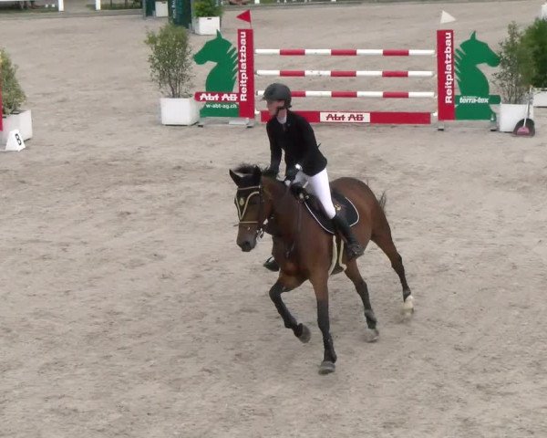 Reitturnier Hüntwangen 2022