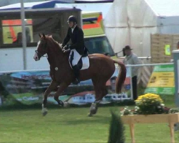 horse Can't buy me love (Mecklenburg, 2006, from Champion For Pleasure)