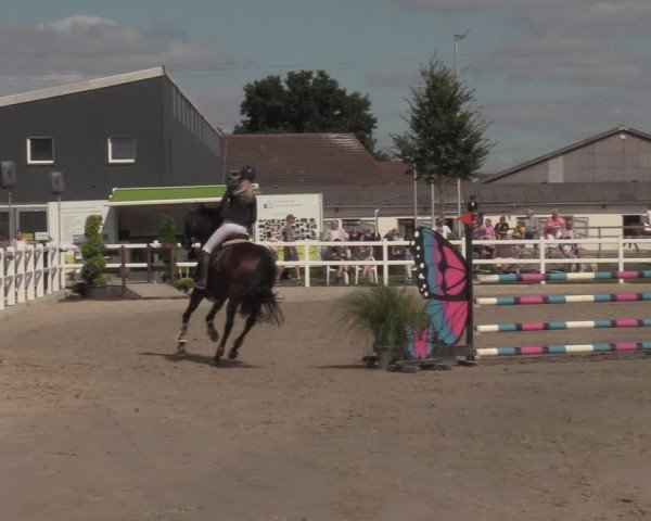 Reitturnier Dortmund-Asseln 2022