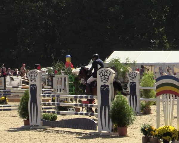 Reitturnier Solingen 2022