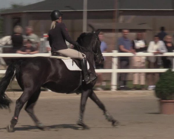 Reitturnier Dortmund-Asseln 2022
