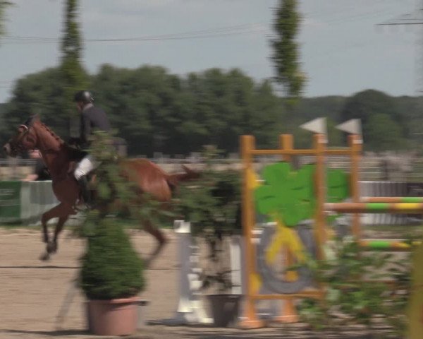 Reitturnier Dortmund-Asseln 2022