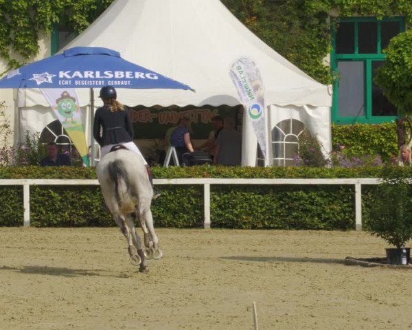 Reitturnier St.Wendel, Gestüt Welvert 2022
