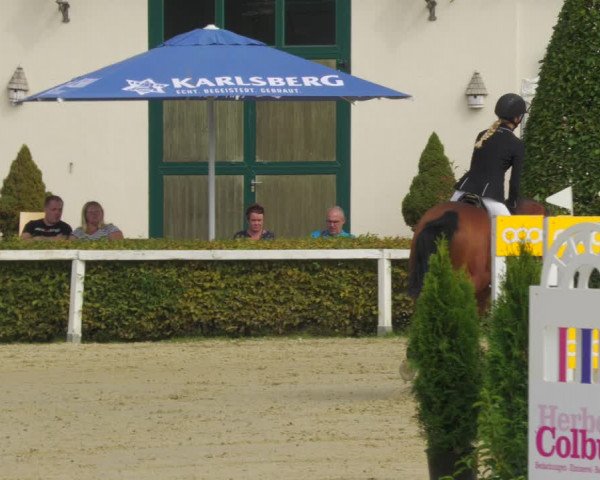 Reitturnier St.Wendel, Gestüt Welvert 2022