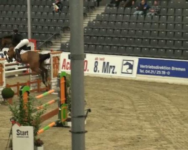 jumper Lexa 22 (Brandenburg, 1999, from Lesotho)