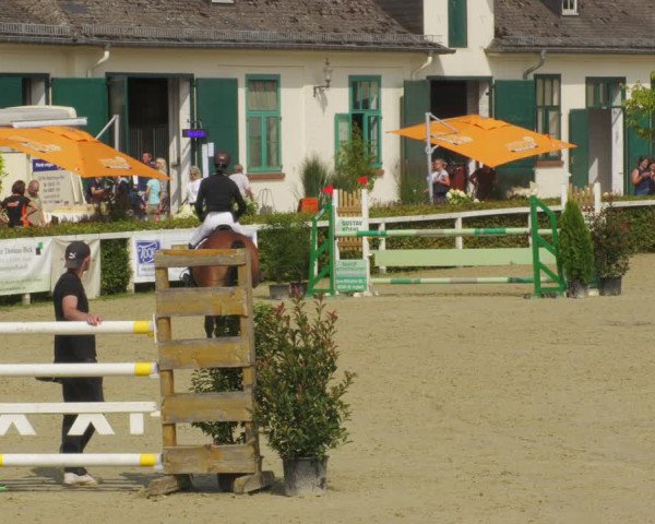 Reitturnier St.Wendel, Gestüt Welvert 2022
