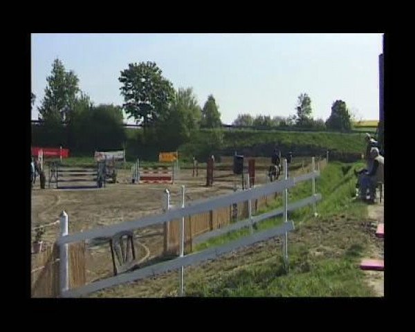 jumper Quattro Rubin (Oldenburg, 2005, from Quidam's Rubin)