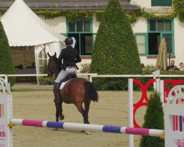 Reitturnier St.Wendel, Gestüt Welvert 2022