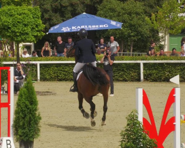 Reitturnier St.Wendel, Gestüt Welvert 2022