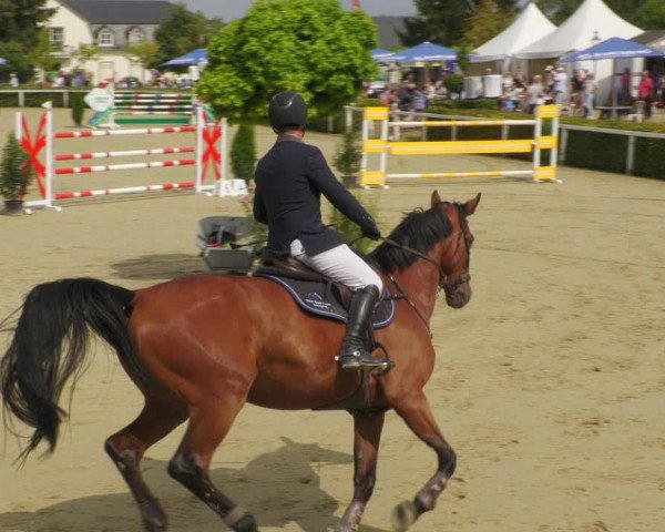Reitturnier St.Wendel, Gestüt Welvert 2022