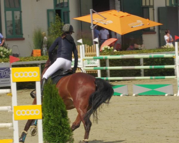 Reitturnier St.Wendel, Gestüt Welvert 2022
