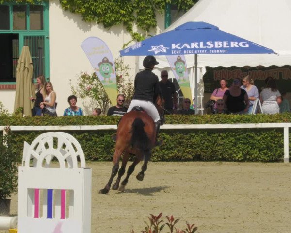 Reitturnier St.Wendel, Gestüt Welvert 2022