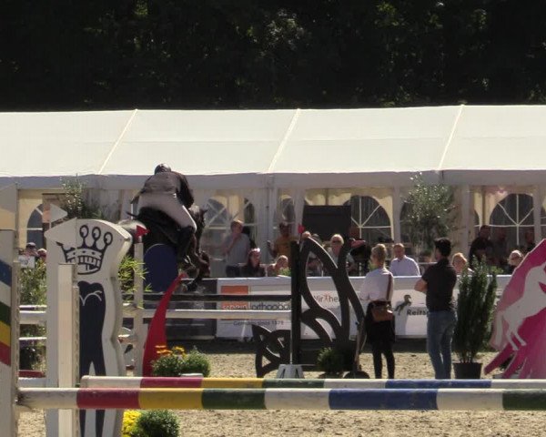 Reitturnier Solingen 2022