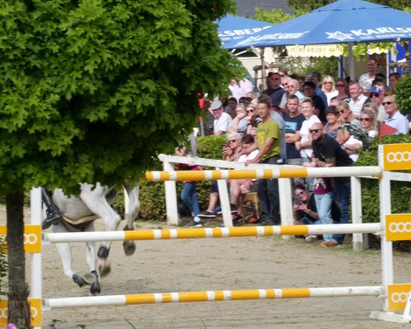 Reitturnier St.Wendel, Gestüt Welvert 2022
