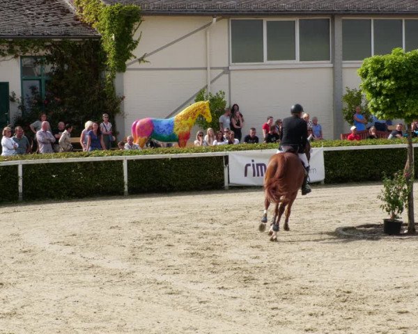Reitturnier St.Wendel, Gestüt Welvert 2022