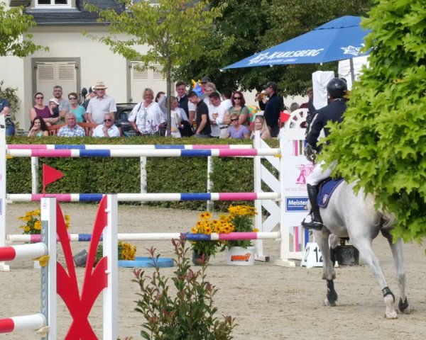 Reitturnier St.Wendel, Gestüt Welvert 2022