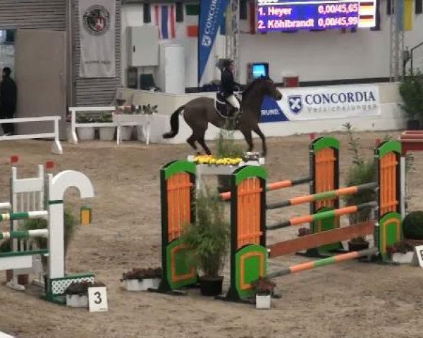 Cavallo da salto Elucada (Hannoveriano, 2005, di Escudo I)