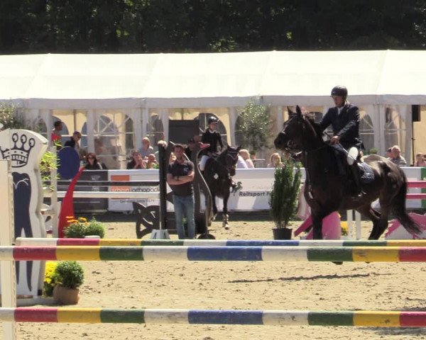 Reitturnier Solingen 2022