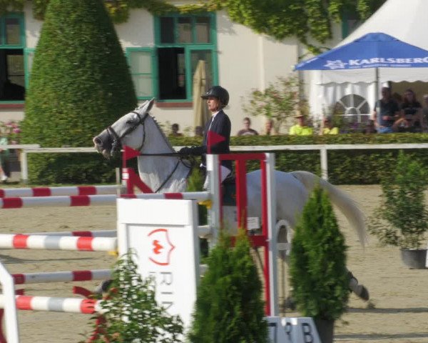 Reitturnier St.Wendel, Gestüt Welvert 2022