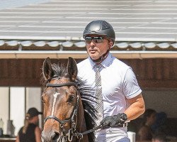 jumper Belsy 2 (Hanoverian, 2014, from Belconi)