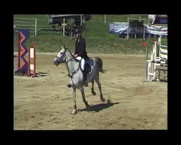 jumper Calata 4 (Württemberger, 2005, from Calato)