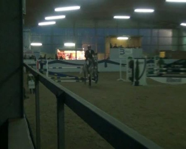 broodmare Chin Chilla G (Westphalian, 2005, from Cassone)