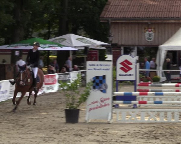 Reitturnier Werne 2022