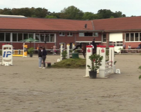 Reitturnier Werne 2022
