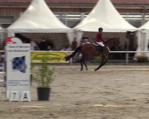 Reitturnier Werne 2022