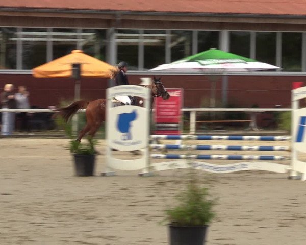 Reitturnier Werne 2022