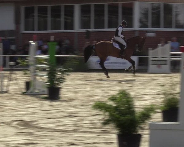 Reitturnier Werne 2022