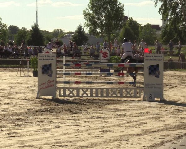 Reitturnier Werne 2022