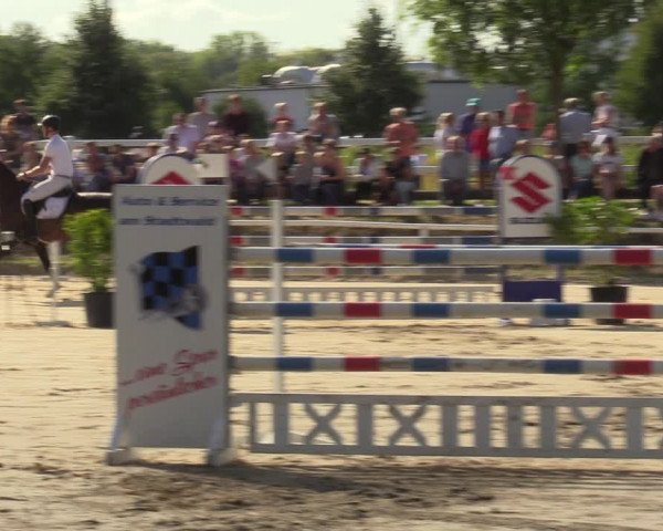 Reitturnier Werne 2022
