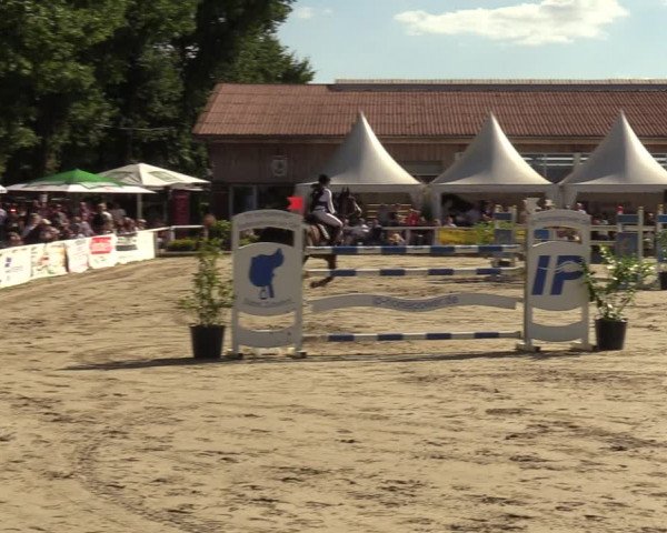 Reitturnier Werne 2022