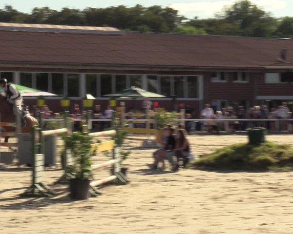 Hippisch Toernooi Werne 2022