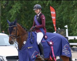 jumper Rain Man (Czech Warmblood, 2002, from Gelidus xx)