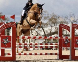 jumper Jackpot (Belgian Warmblood, 2009, from Wandor van de Mispelaere D'10)