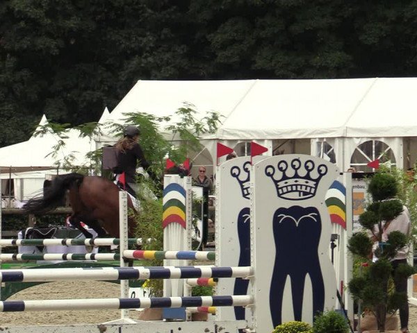 Reitturnier Solingen 2022