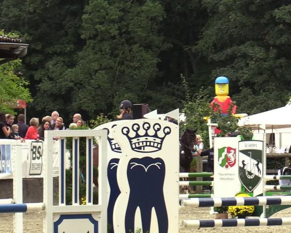 Reitturnier Solingen 2022
