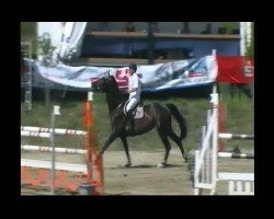 broodmare Ruby Tuesday (Holsteiner, 2001, from Landjunge)